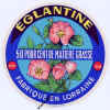 --fleur-eglantine-88-07.jpg (62972 octets)