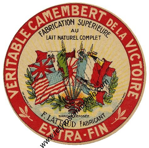 Les Alliés JungleKey.fr Wiki