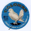 --oiseau-colombe54-01.jpg (36856 octets)