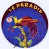 --oiseau-paradis54-01.jpg (39420 octets)