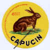 ----lapin14-01.jpg (32780 octets)