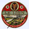 ----lion16-01.jpg (56268 octets)